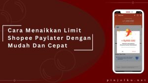 Cara Menaikkan Limit Shopee Paylater Dengan Mudah Dan Cepat