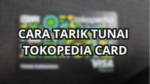 pinjolku.net 20250303 112401 0000